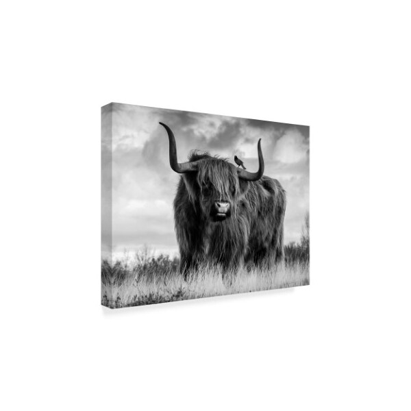 Ata Alishahi 'A Bull' Canvas Art,35x47